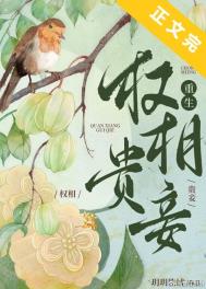 Ȩ���檣�������