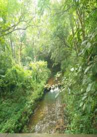 ��¥�ϵ���Ů