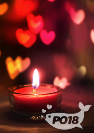 �ҵķ�����Ů��